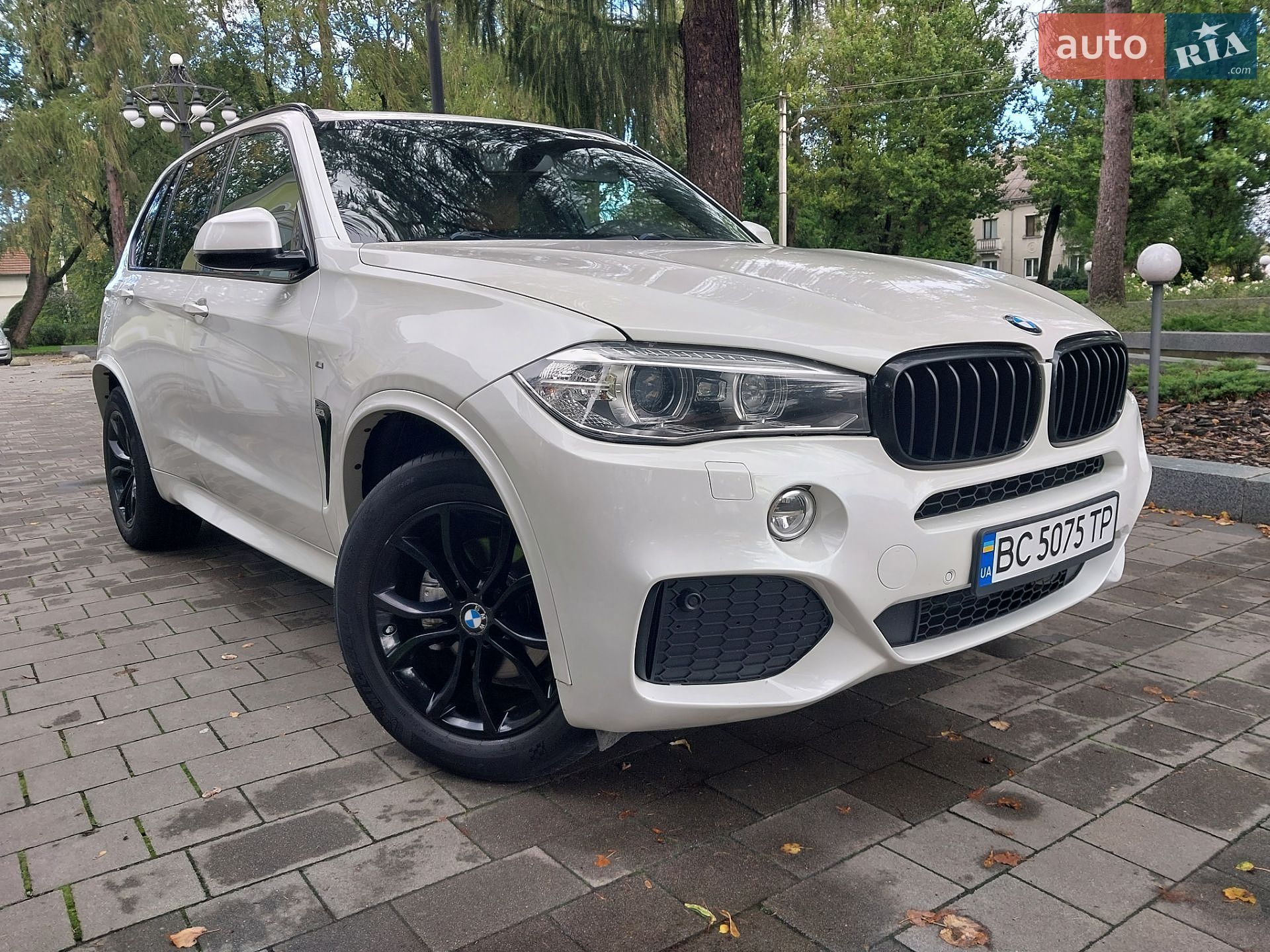 BMW X5 2015 VIN WBAKS410100H66795 фото оголошення 6 з 89