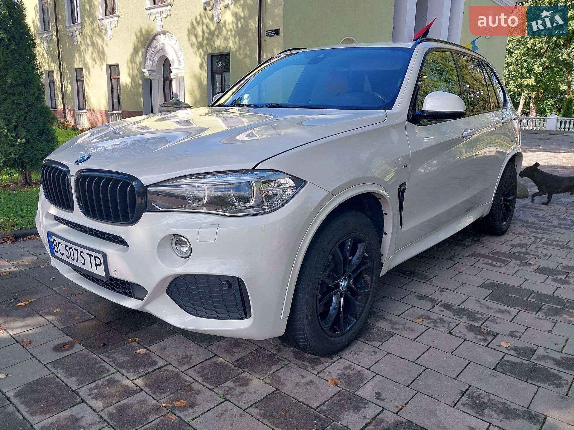 BMW X5 2015 VIN WBAKS410100H66795 фото оголошення 31 з 89