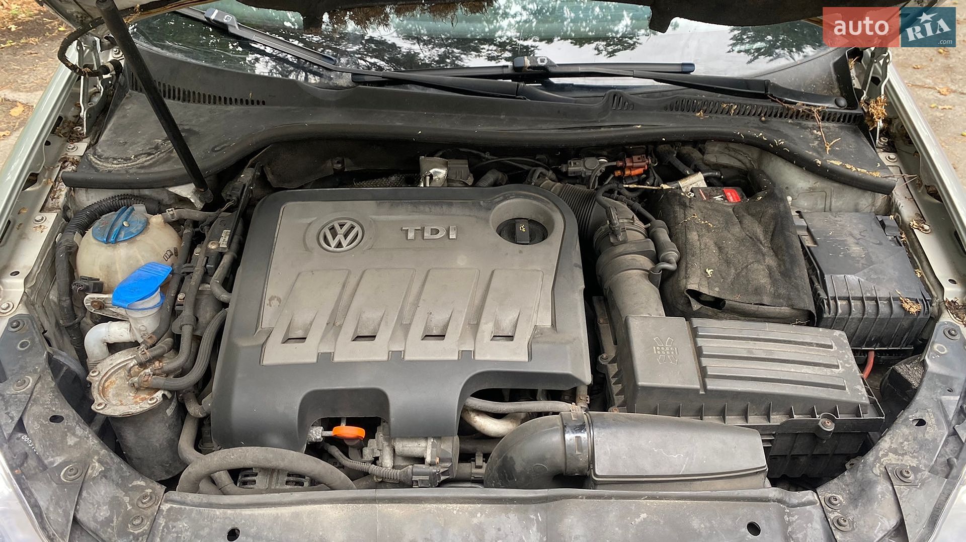 Volkswagen Golf 2011 VIN WVWZZZ1KZBM641681 фото оголошення 25 з 25
