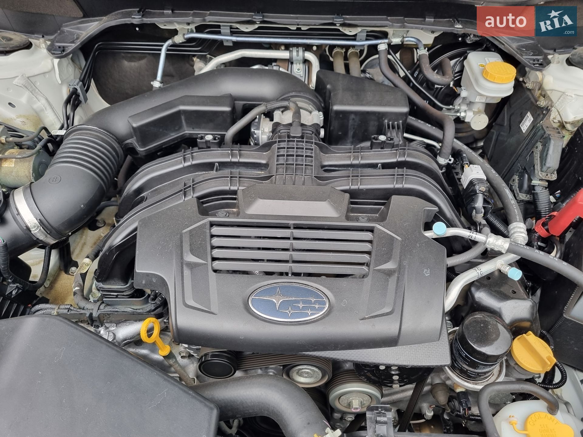 Subaru Forester 2021 VIN JF1SK9LL5MG139163 фото оголошення 62 з 67