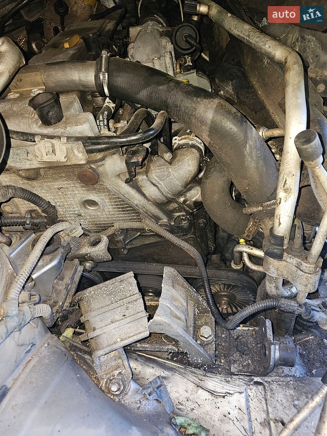 Opel Signum 2003 VIN W0L0ZCF4831102245 фото оголошення 13 з 24