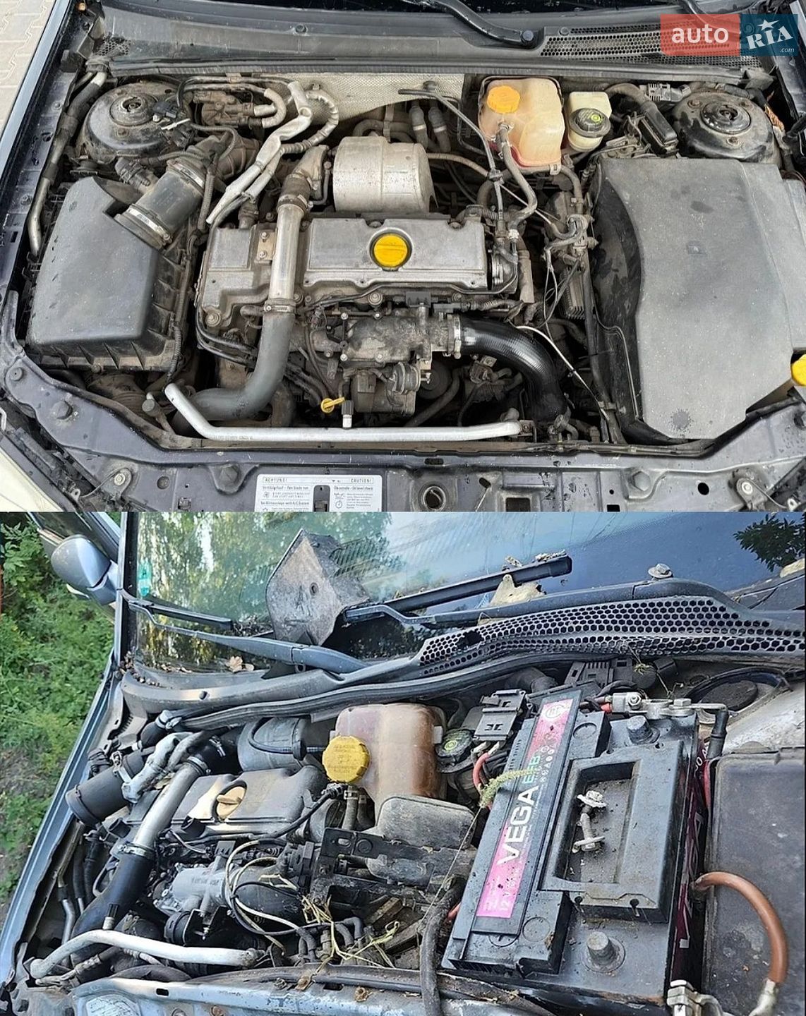Opel Signum 2003 VIN W0L0ZCF4831102245 фото оголошення 23 з 24