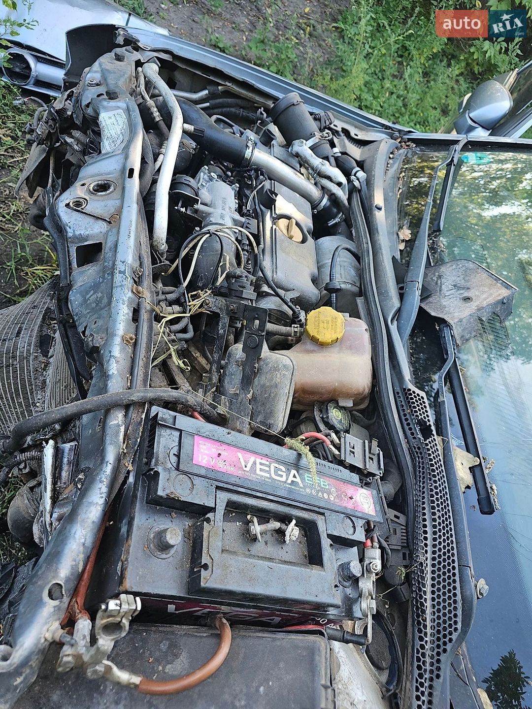 Opel Signum 2003 VIN W0L0ZCF4831102245 фото оголошення 24 з 24