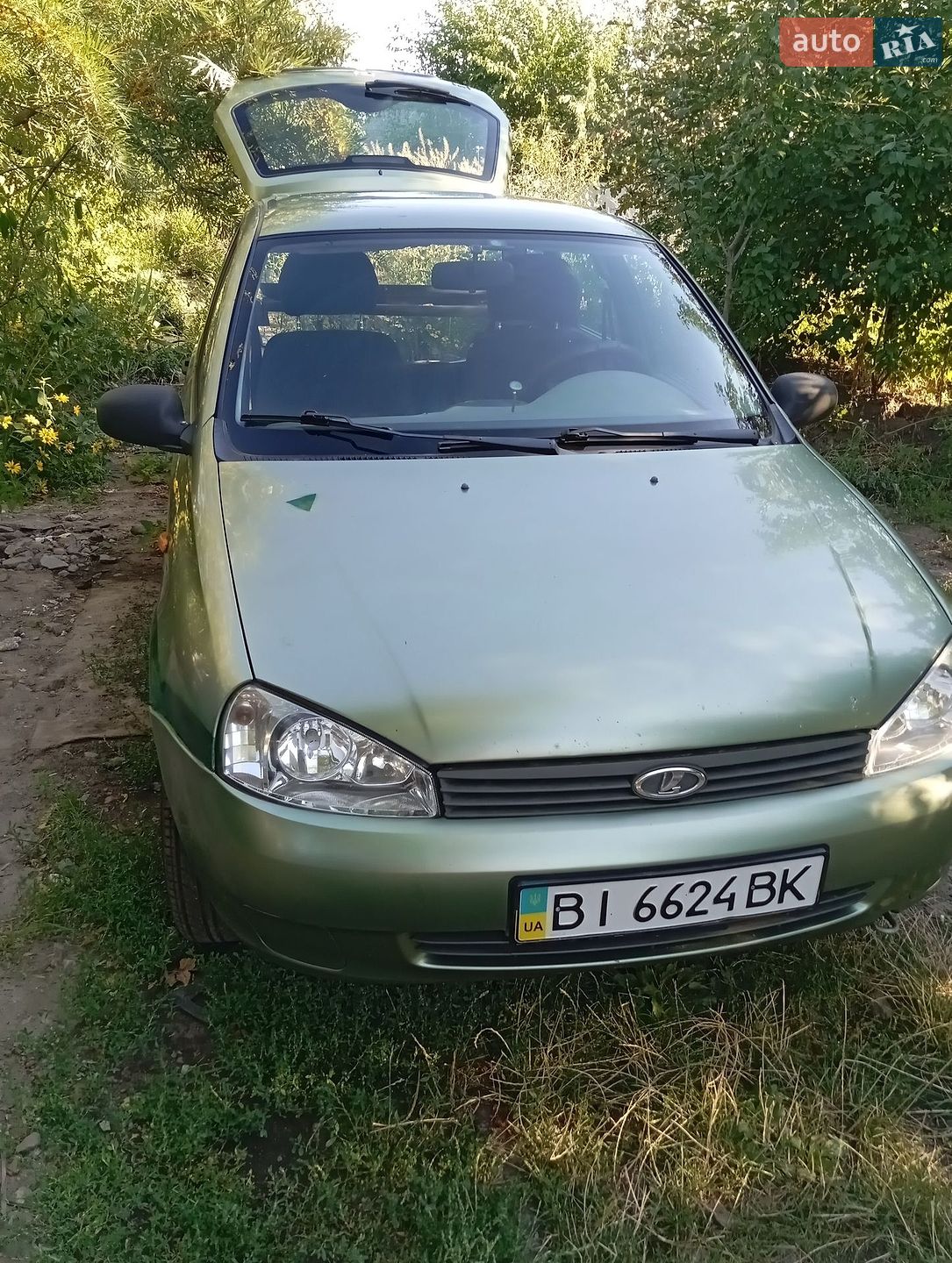 ВАЗ / Lada 1117 Калина 2008 VIN XTA11174090019238 фото оголошення 7 з 47