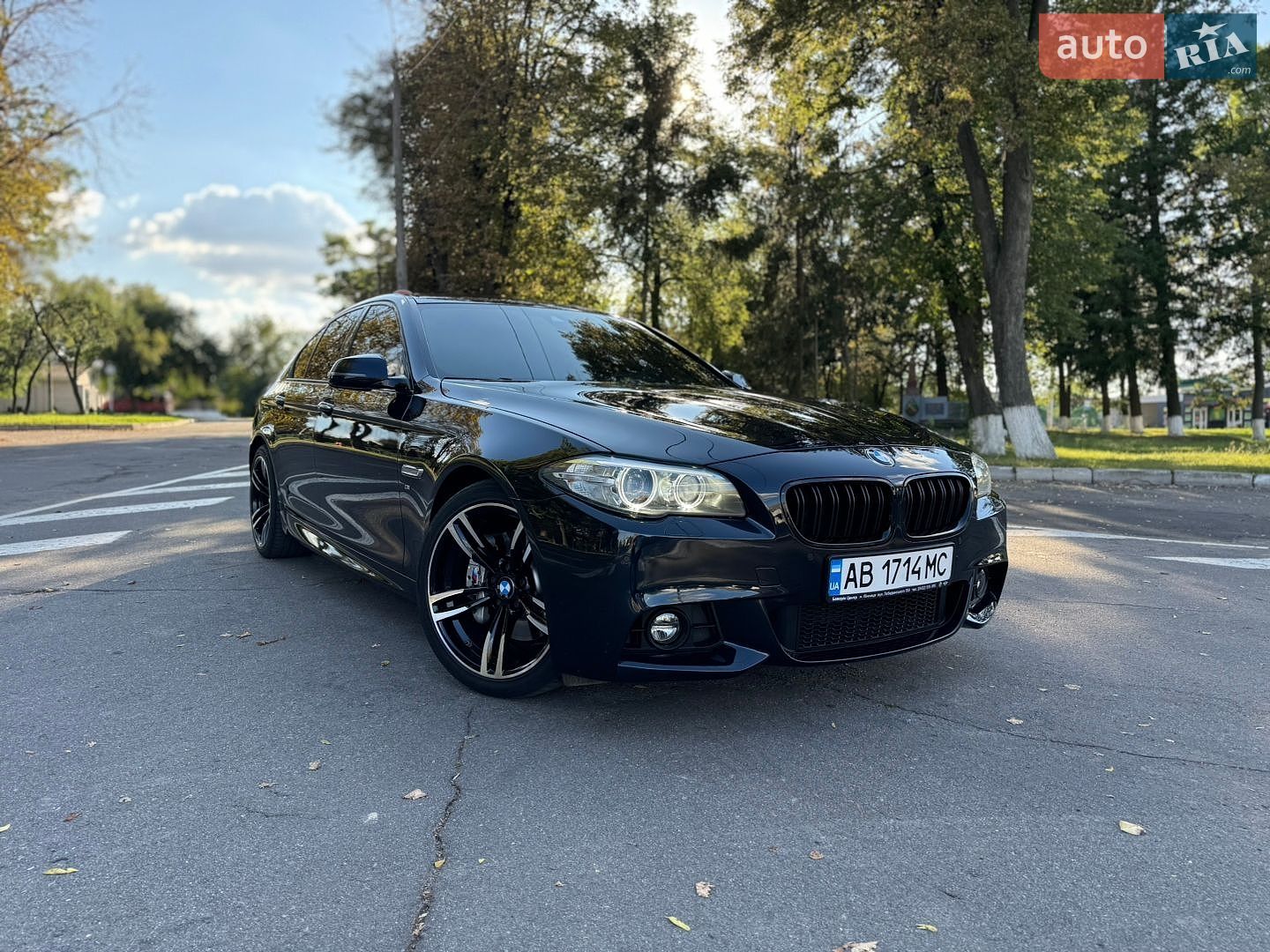 BMW 5 Series 2013 VIN WBA5D31080D059619 фото оголошення 78 з 123