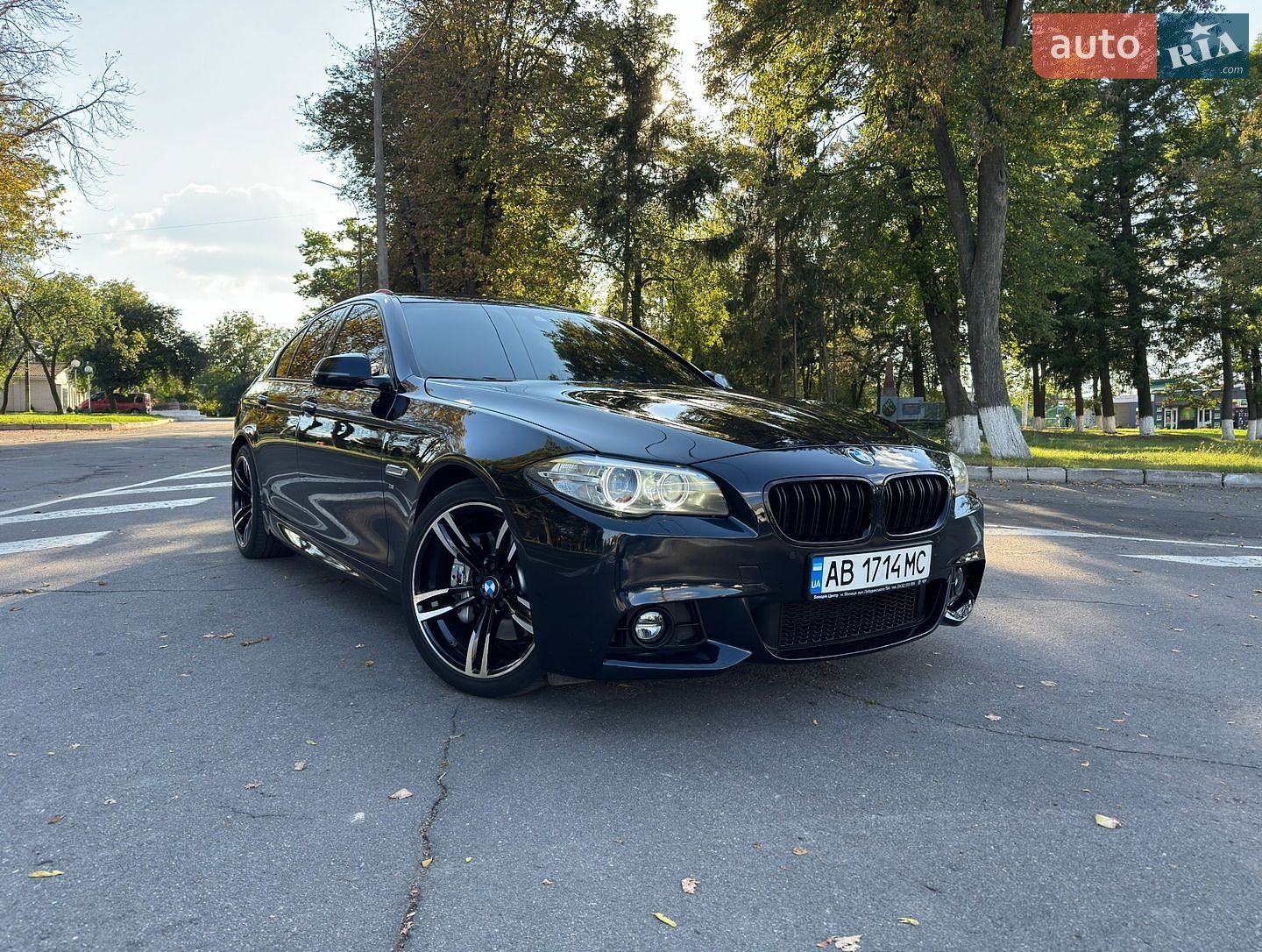 BMW 5 Series 2013 VIN WBA5D31080D059619 фото оголошення 79 з 123