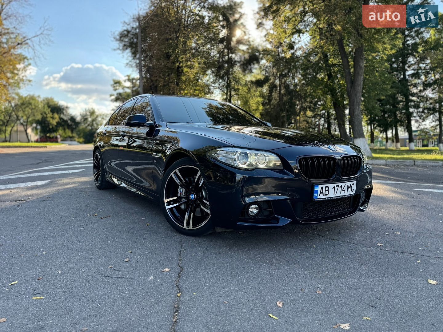 BMW 5 Series 2013 VIN WBA5D31080D059619 фото оголошення 81 з 123
