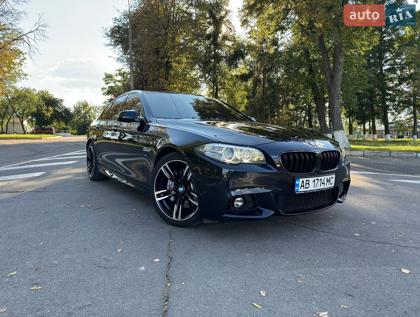 BMW 5 Series 2013 VIN WBA5D31080D059619 фото оголошення 80 з 123