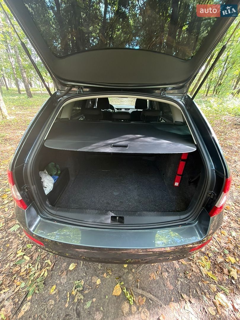 Skoda Octavia 2016 VIN TMBJJ7NE7G0166430 фото оголошення 13 з 13