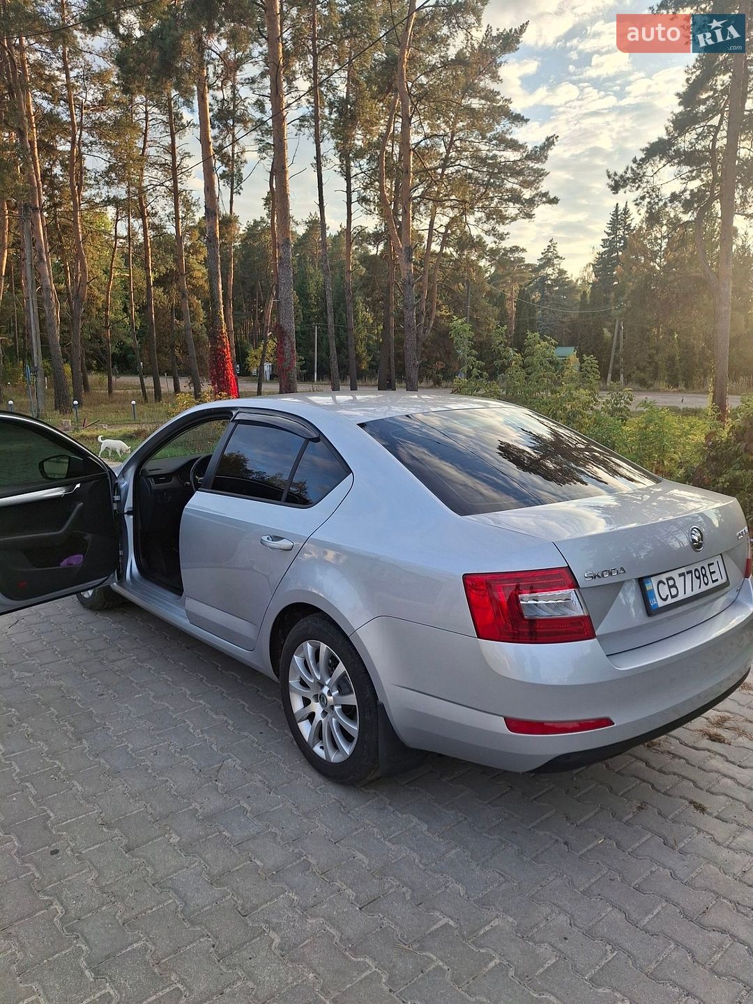 Skoda Octavia 2013 VIN TMBAG7NE1E0016034 фото оголошення 18 з 21