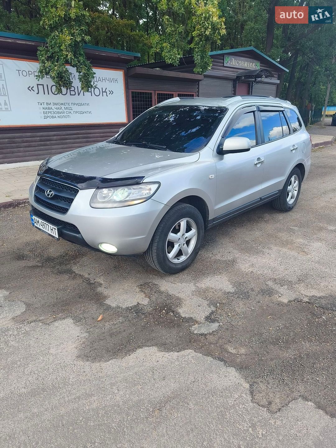 Hyundai Santa FE 2006 VIN KMHSH81WP6U014374 фото оголошення 21 з 40