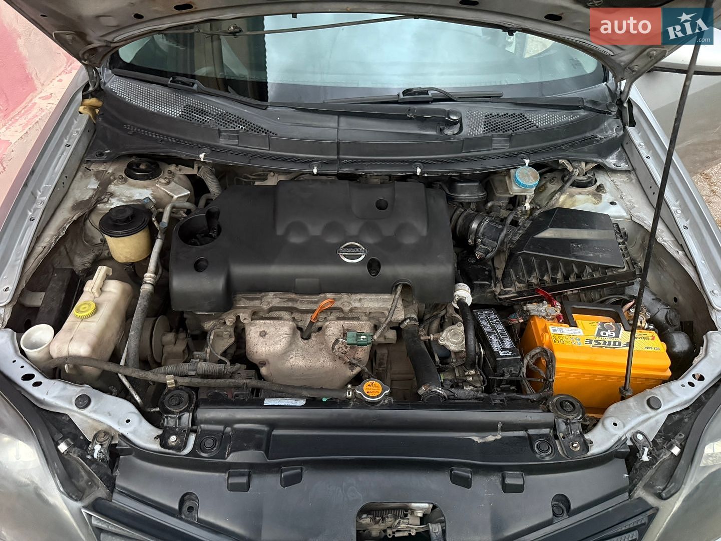 Nissan Primera 2005 VIN SJNFAAP12U0246228 фото оголошення 22 з 22