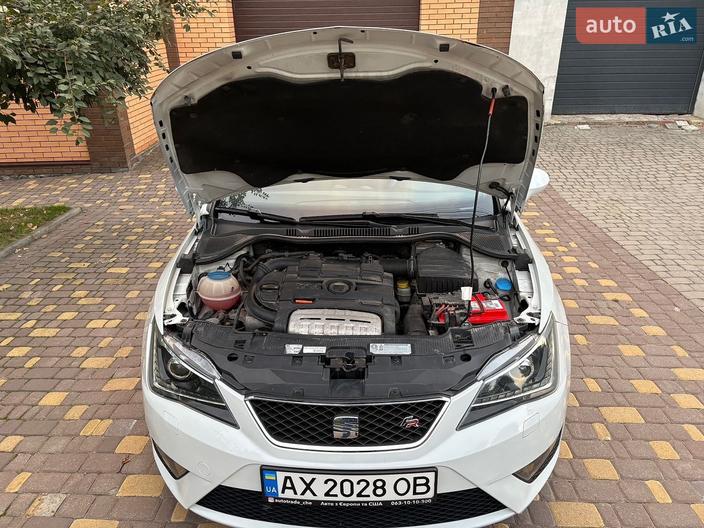 SEAT Ibiza 2013 VIN VSSBD66J6DR073874 фото оголошення 26 з 38