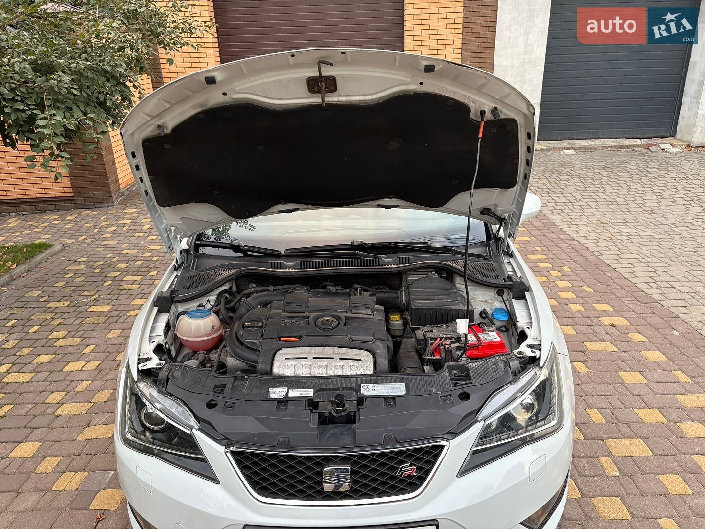 SEAT Ibiza 2013 VIN VSSBD66J6DR073874 фото оголошення 27 з 38