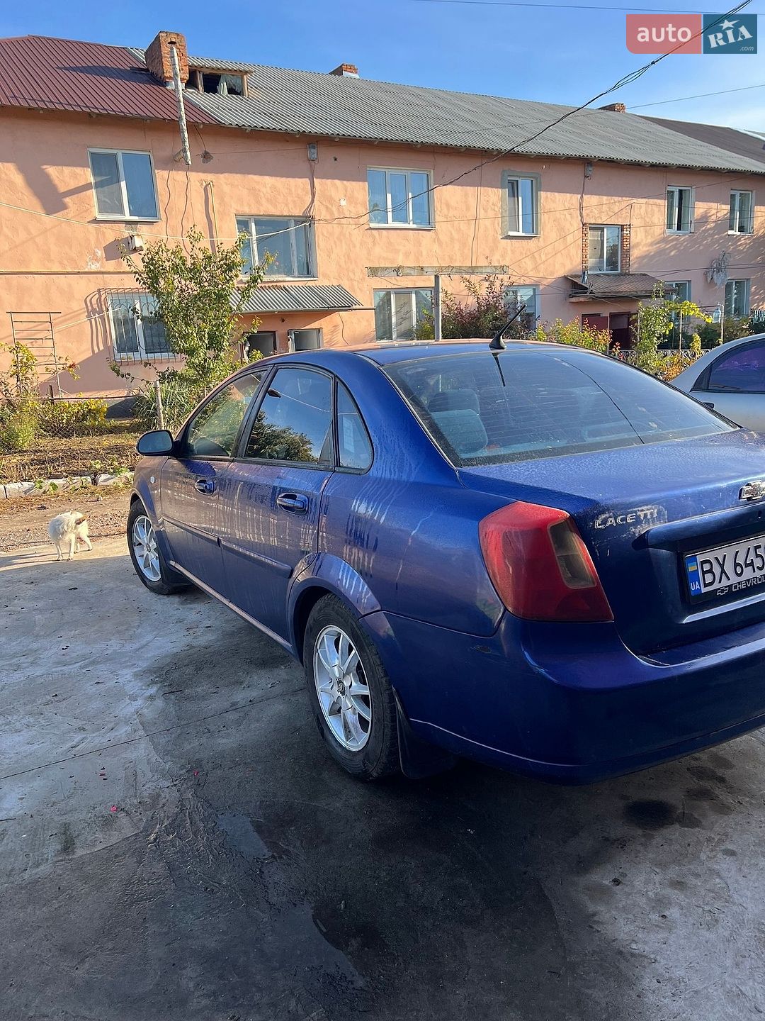 Chevrolet Lacetti 2006 VIN KL1NF193E6K357592 фото оголошення 5 з 6