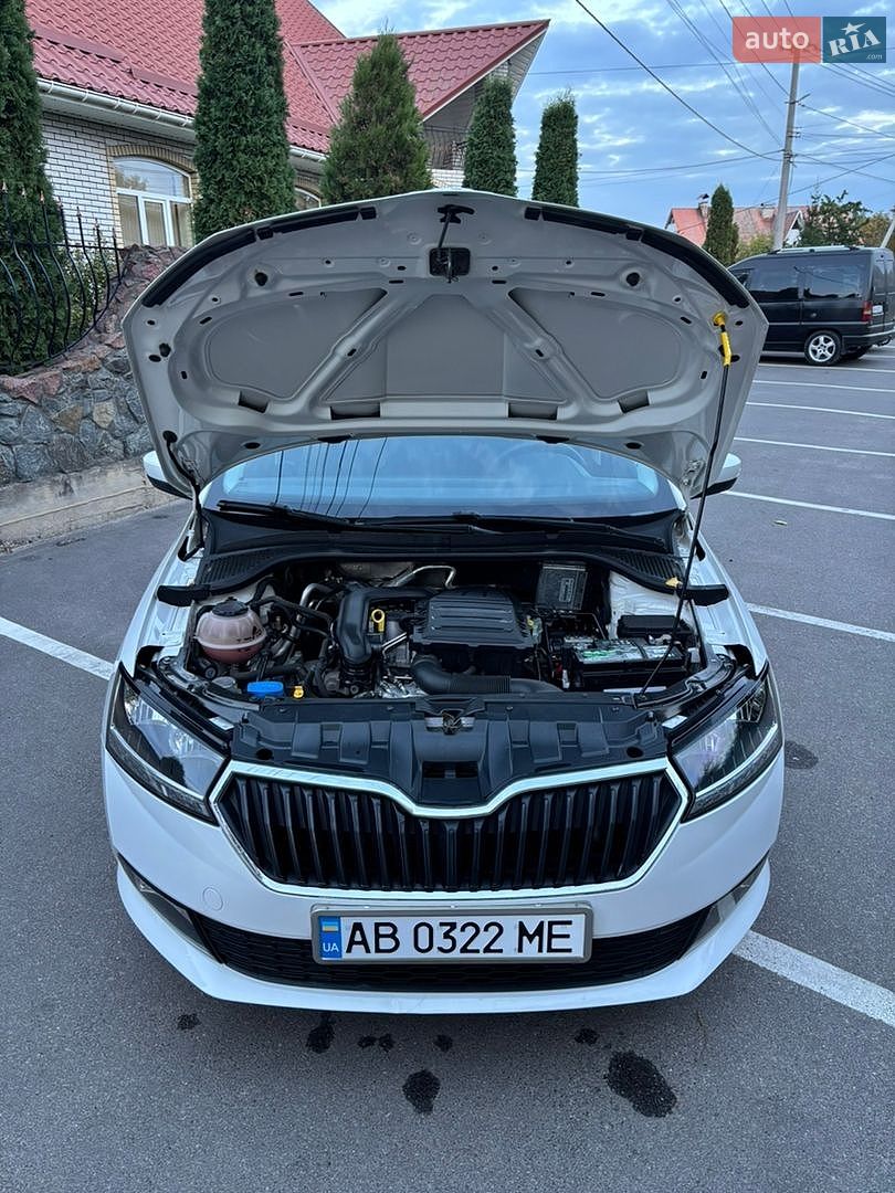 Skoda Fabia 2019 VIN TMBEP2NJ7LB500373 фото оголошення 44 з 91