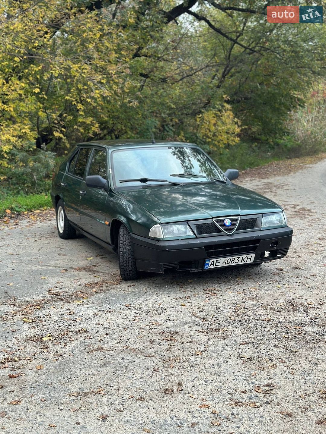 Alfa Romeo 33 1994 VIN ZAR90700005950991 фото оголошення 2 з 8