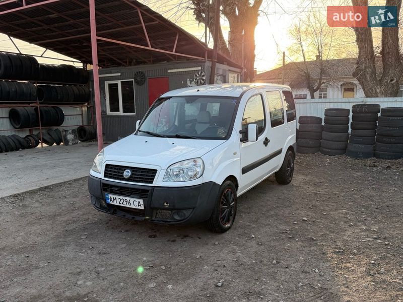 Минивэн Fiat Doblo 2007 в Бердичеве