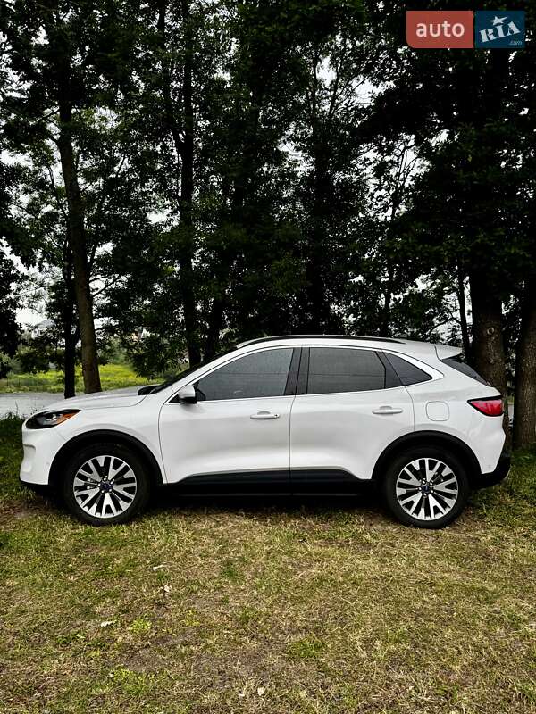 Внедорожник / Кроссовер Ford Escape 2020 в Сумах