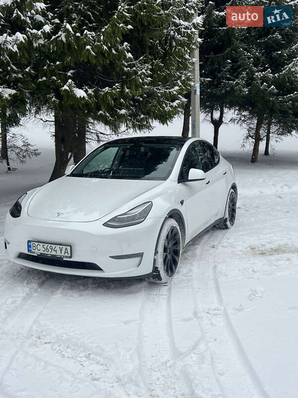 Внедорожник / Кроссовер Tesla Model Y 2021 в Львове