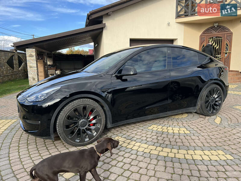 Внедорожник / Кроссовер Tesla Model Y 2022 в Львове