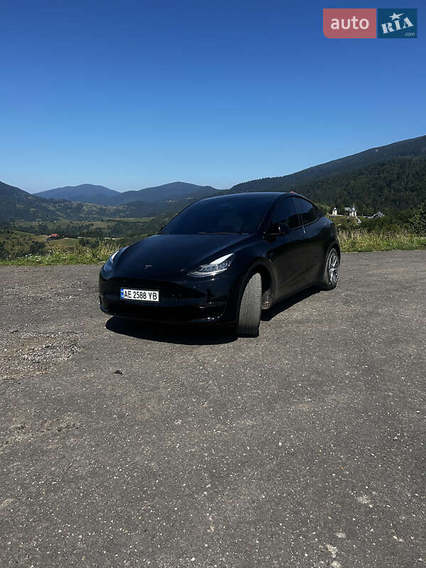 Внедорожник / Кроссовер Tesla Model Y 2020 в Каменском