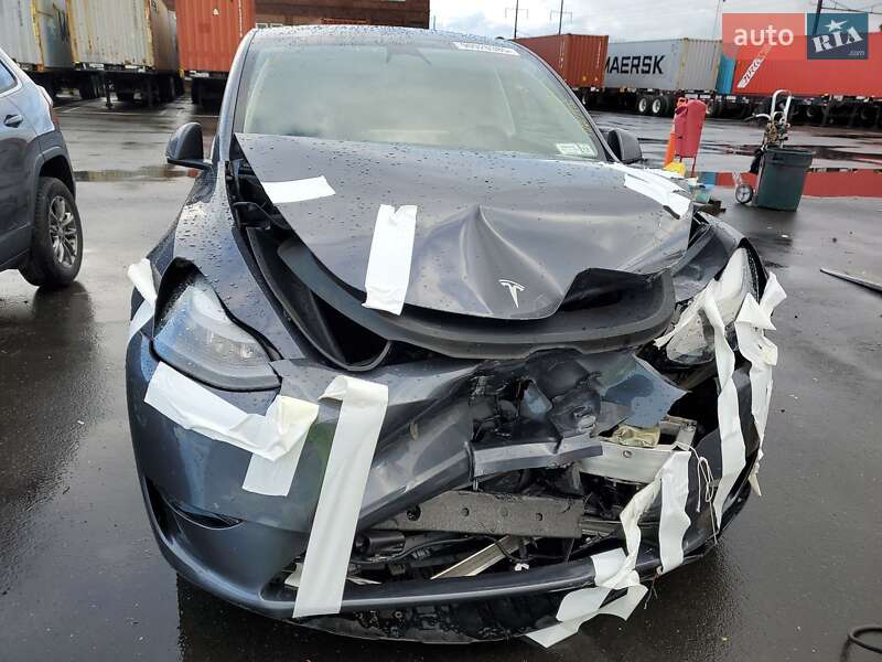 Внедорожник / Кроссовер Tesla Model Y 2023 в Запорожье