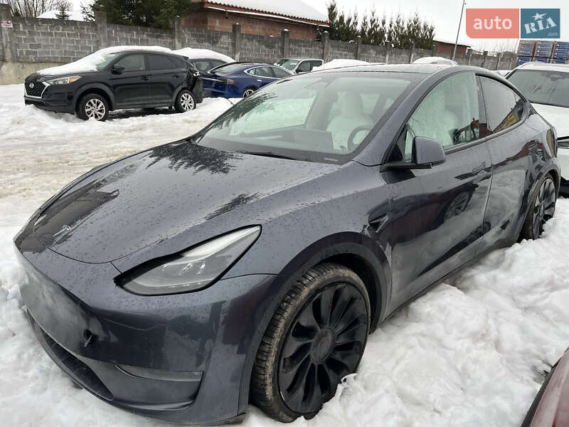 Внедорожник / Кроссовер Tesla Model Y 2022 в Львове