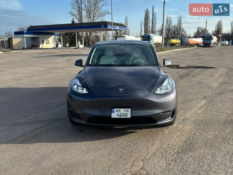 Внедорожник / Кроссовер Tesla Model Y 2023 в Днепре