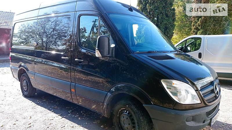 Вантажопасажирський фургон Mercedes-Benz Sprinter 2012 в Теплику