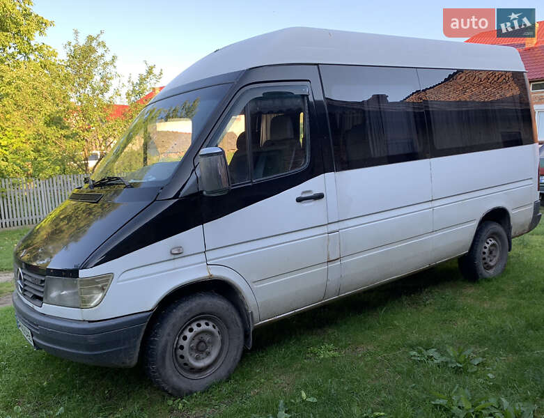 Микроавтобус Mercedes-Benz Sprinter 1995 в Бережанах Микроавтобус Mercedes-Benz Sprinter 1995 в Бережанах
