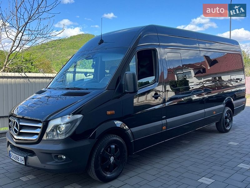 Микроавтобус Mercedes-Benz Sprinter 2017 в Сваляве