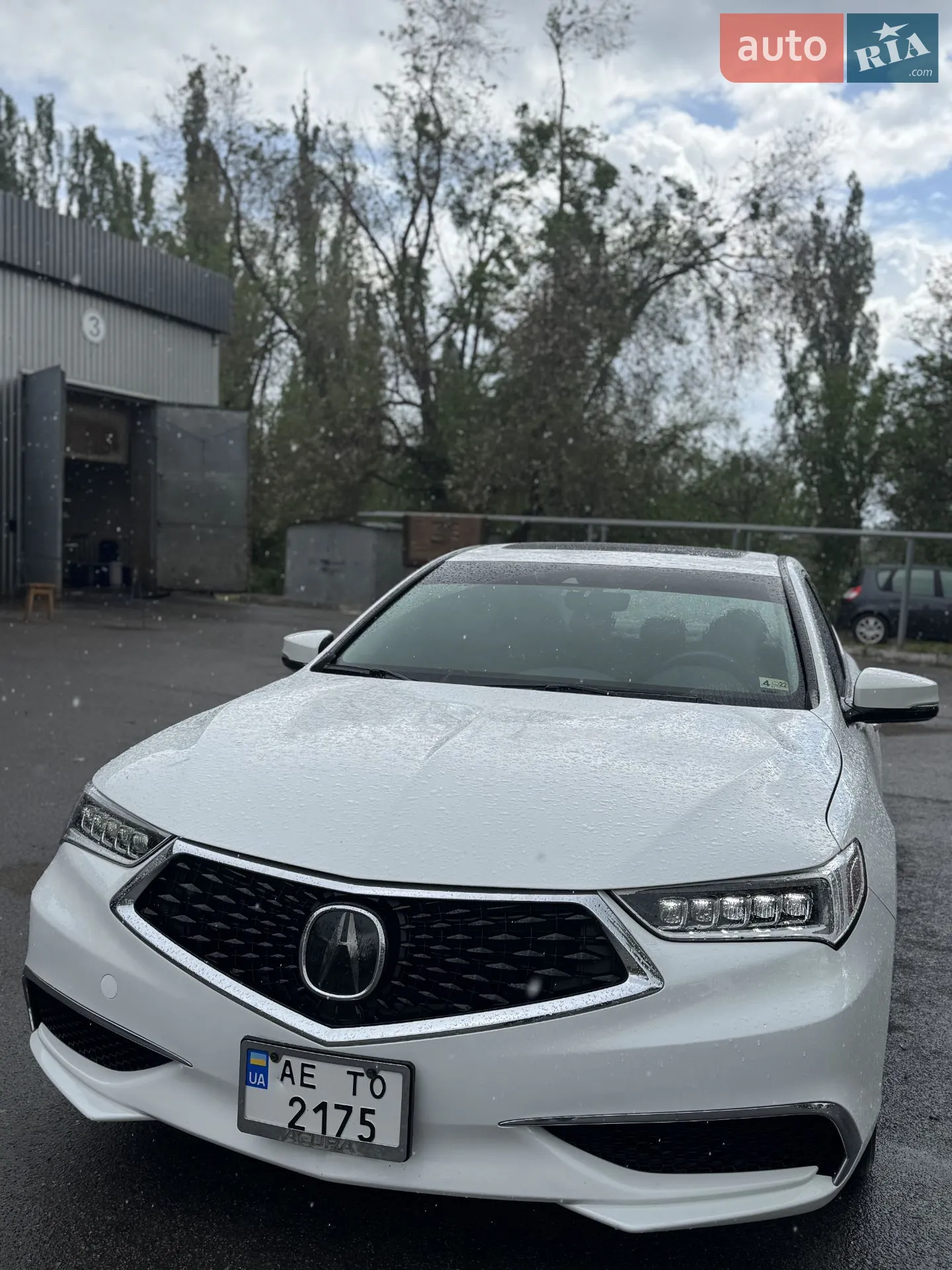 2019 Acura TLX - мініатюра 11