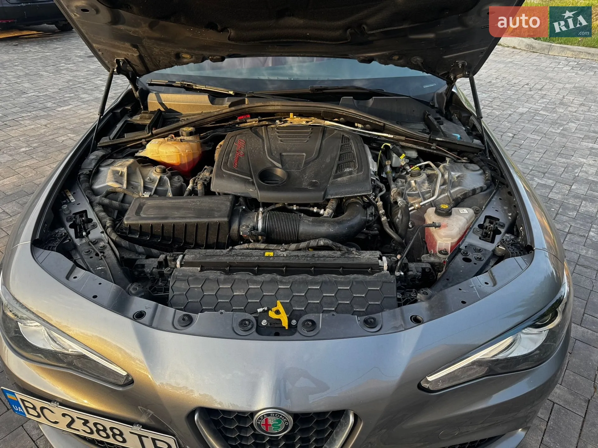2019 Alfa Romeo Giulia - мініатюра 17