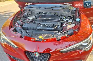 Внедорожник / Кроссовер Alfa Romeo Stelvio 2017 в 