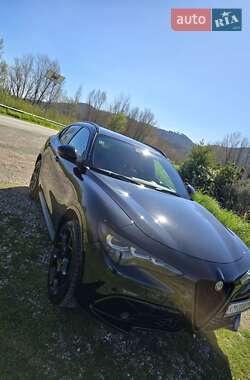 Внедорожник / Кроссовер Alfa Romeo Stelvio 2021 в 