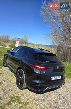 Внедорожник / Кроссовер Alfa Romeo Stelvio 2021 в 