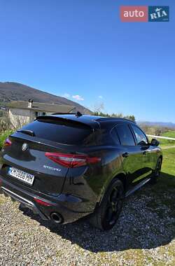 Внедорожник / Кроссовер Alfa Romeo Stelvio 2021 в 