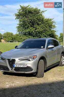 Внедорожник / Кроссовер Alfa Romeo Stelvio 2020 в Каменке