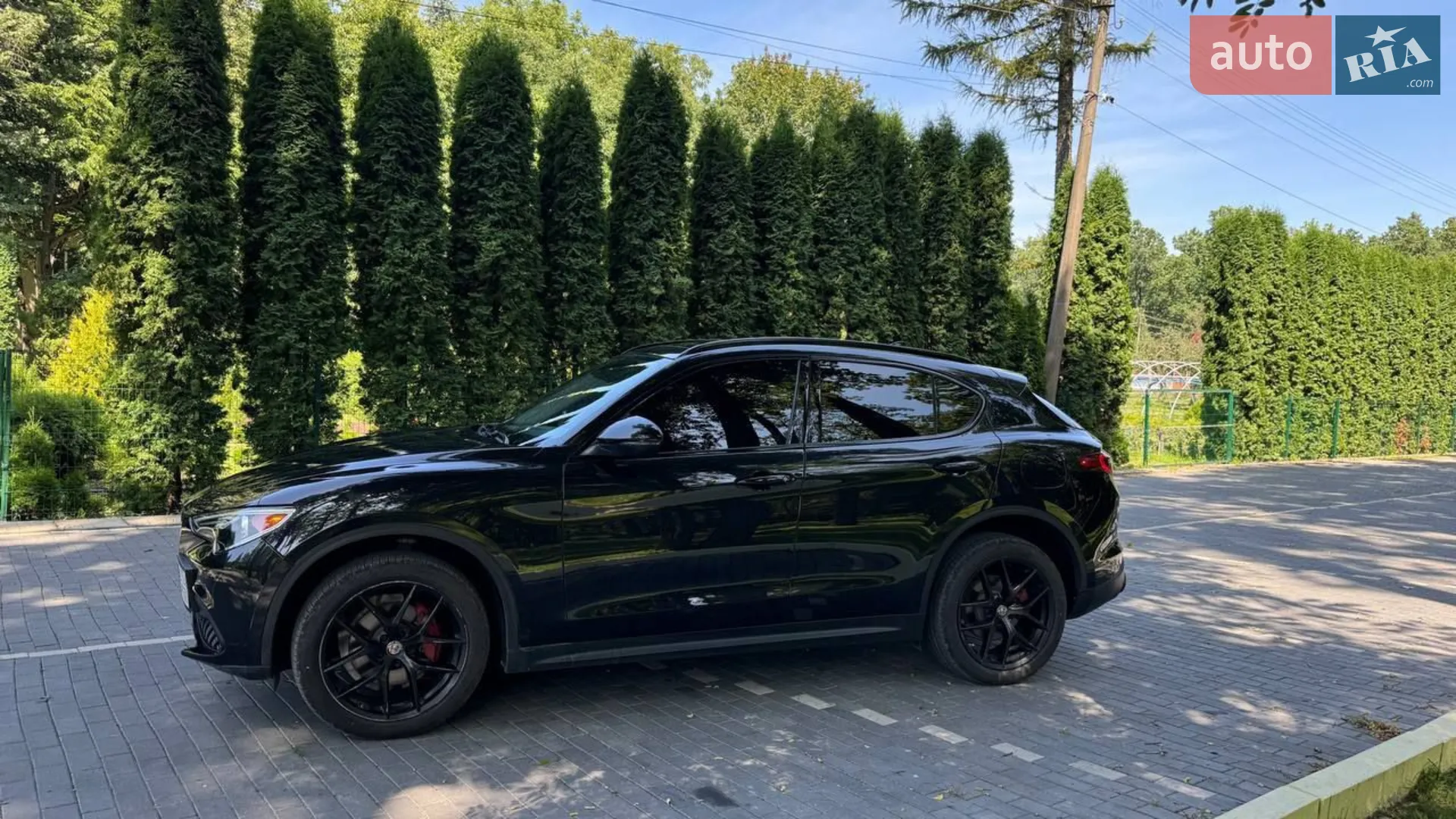 2019 Alfa Romeo Stelvio - мініатюра 9