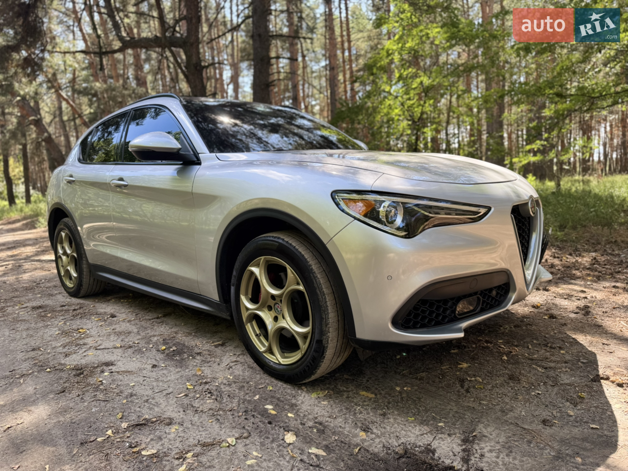 2017 Alfa Romeo Stelvio - мініатюра 14