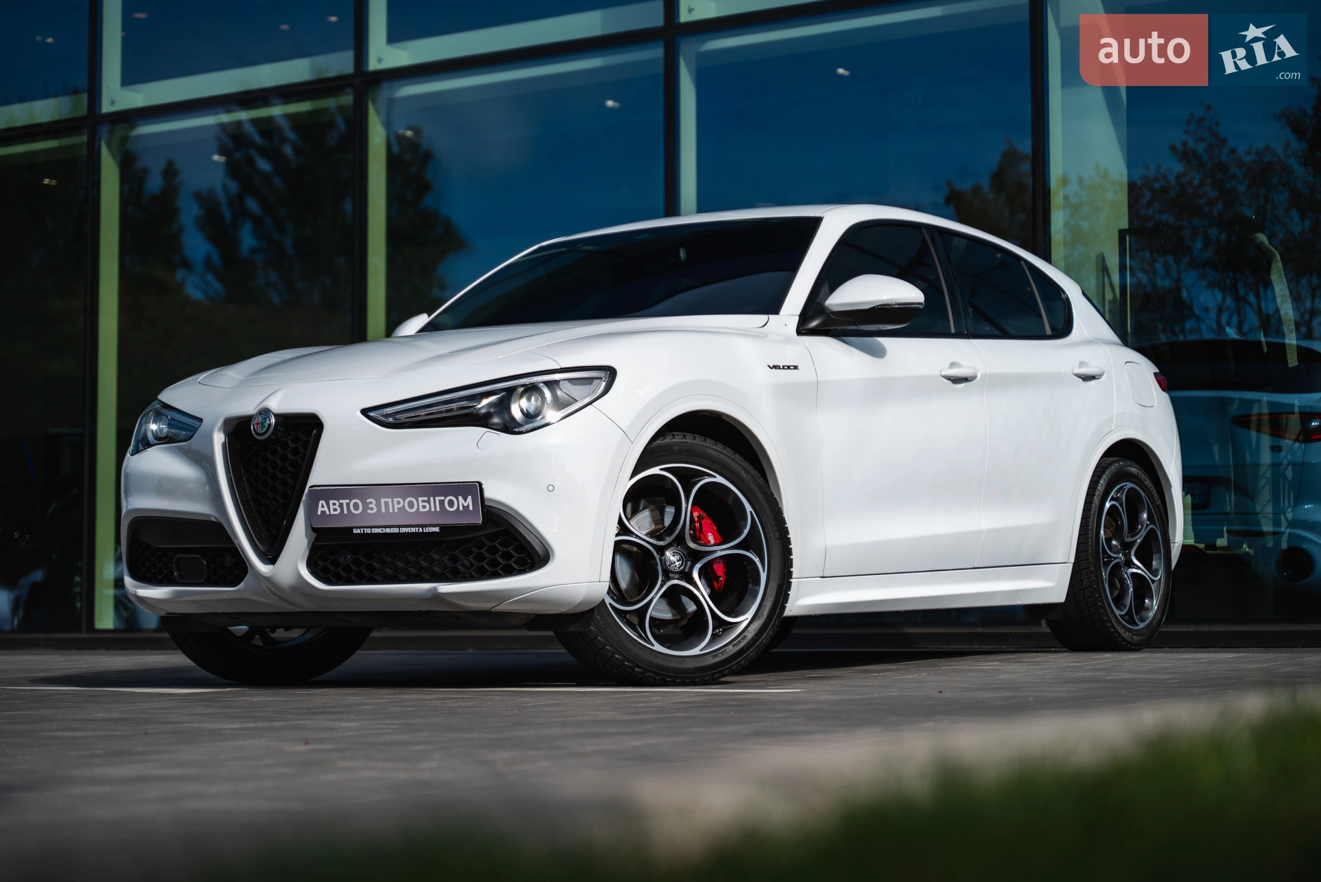 2021 Alfa Romeo Stelvio - фото 1