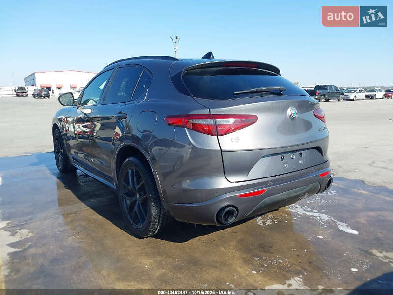Внедорожник / Кроссовер Alfa Romeo Stelvio 2020 в Днепре фото 2 Внедорожник / Кроссовер Alfa Romeo Stelvio 2020 в Днепре