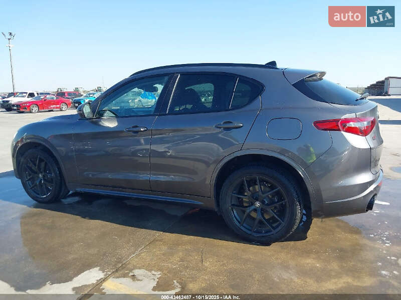Внедорожник / Кроссовер Alfa Romeo Stelvio 2020 в Днепре фото 13 Внедорожник / Кроссовер Alfa Romeo Stelvio 2020 в Днепре