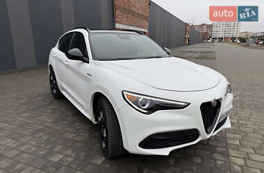 Позашляховик / Кросовер Alfa Romeo Stelvio 2022 в Хмельницькому