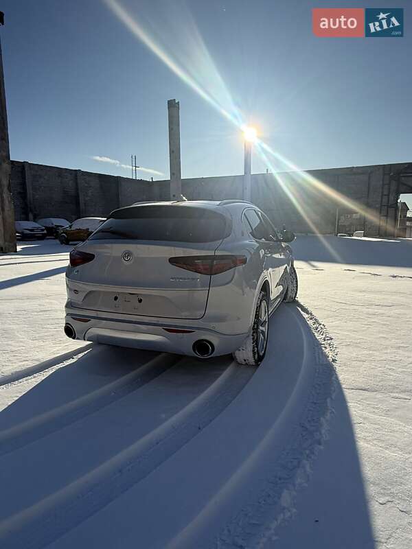 Внедорожник / Кроссовер Alfa Romeo Stelvio 2020 в Киеве