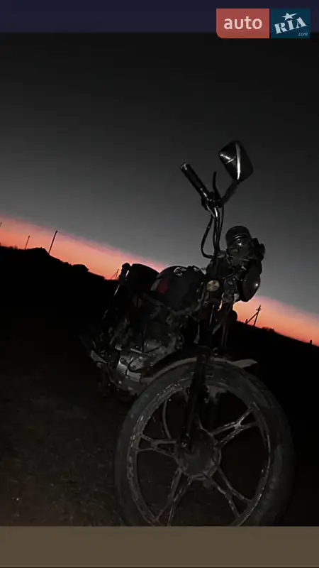 Alpha 110 2008