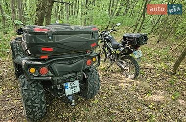 Квадроцикл  утилитарный Aodes Pathcross 650L 2025 в Ровно