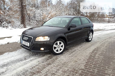  Audi A3 2010 в Бродах