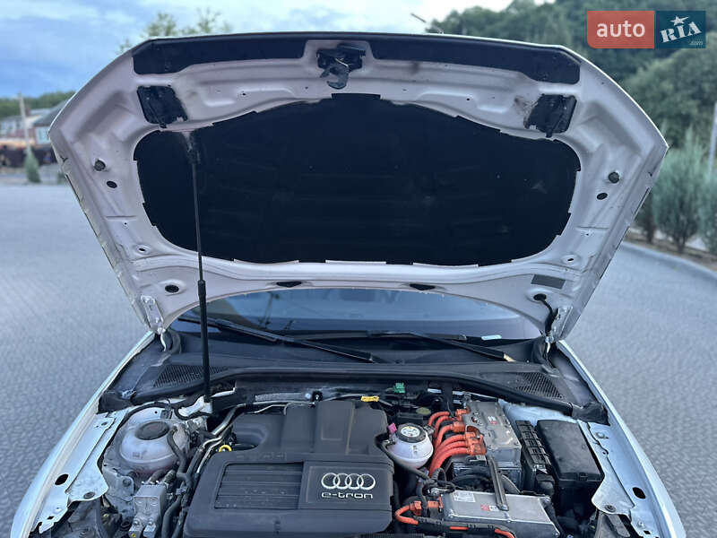 Хетчбек Audi A3 2017 в Полтаві фото 77 Хетчбек Audi A3 2017 в Полтаві